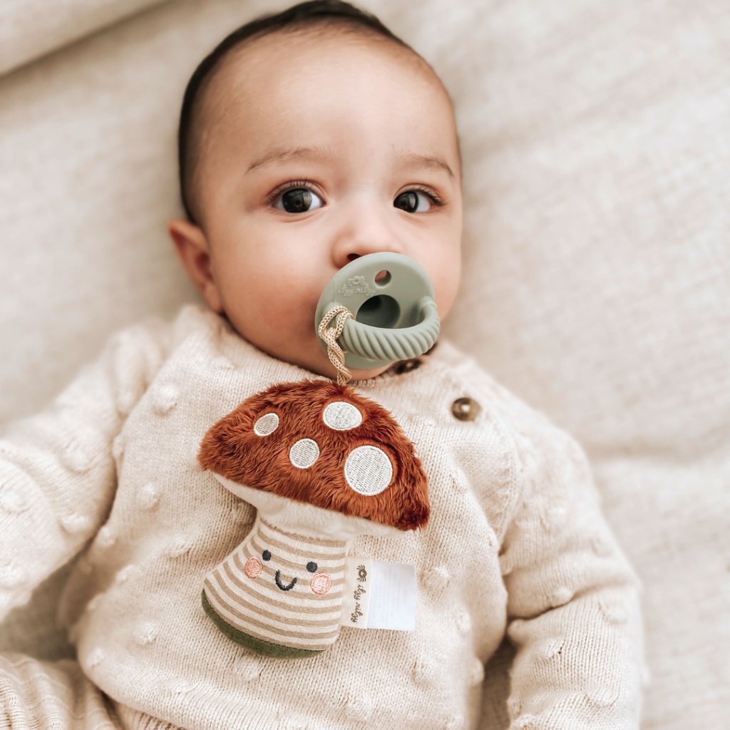 Itzy Paci PalTM – Pacifier & Stuffed Animal - Image 19
