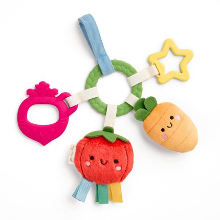 Bitzy Busy RingTM Teething Activity Toy