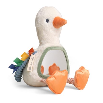 Itzy Bitzy MirrorTM Sensory Tummy Time Mirror