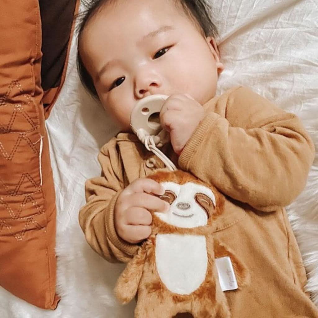 Itzy Paci PalTM – Pacifier & Stuffed Animal - Image 27
