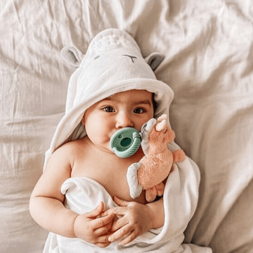 Itzy Paci PalTM – Pacifier & Stuffed Animal - Image 12