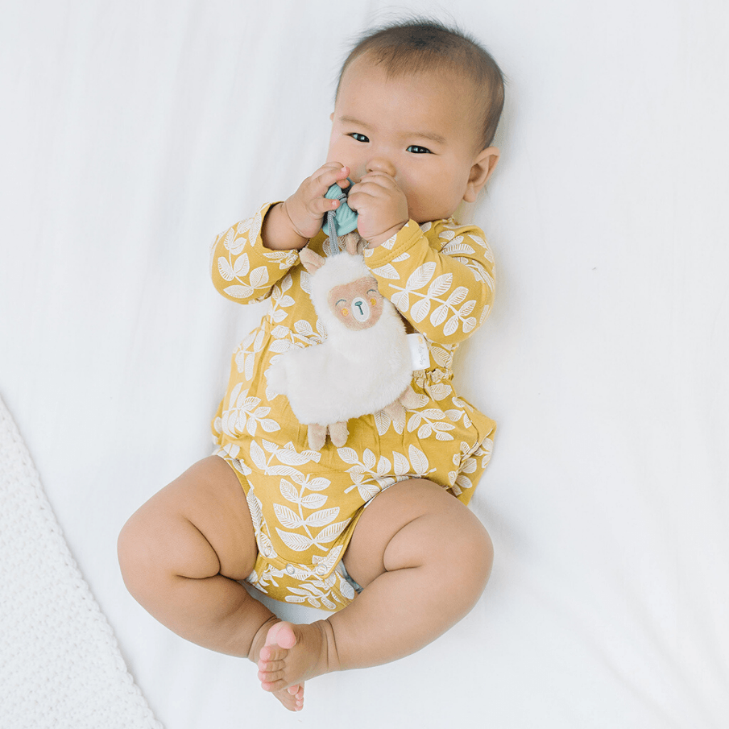 Itzy Paci PalTM – Pacifier & Stuffed Animal - Image 10