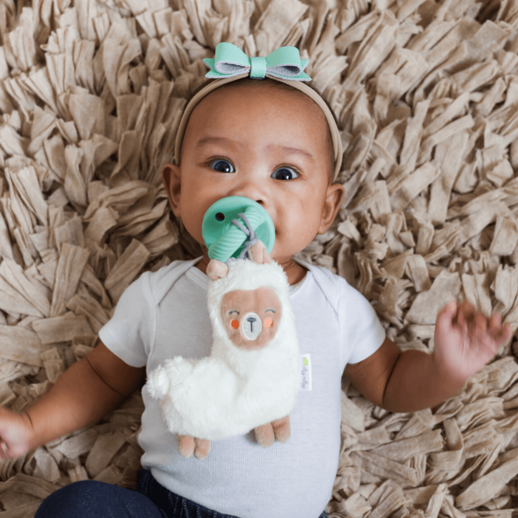 Itzy Paci PalTM – Pacifier & Stuffed Animal - Image 9