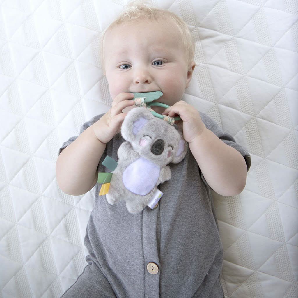 Itzy PalTM Infant Toy - Image 24