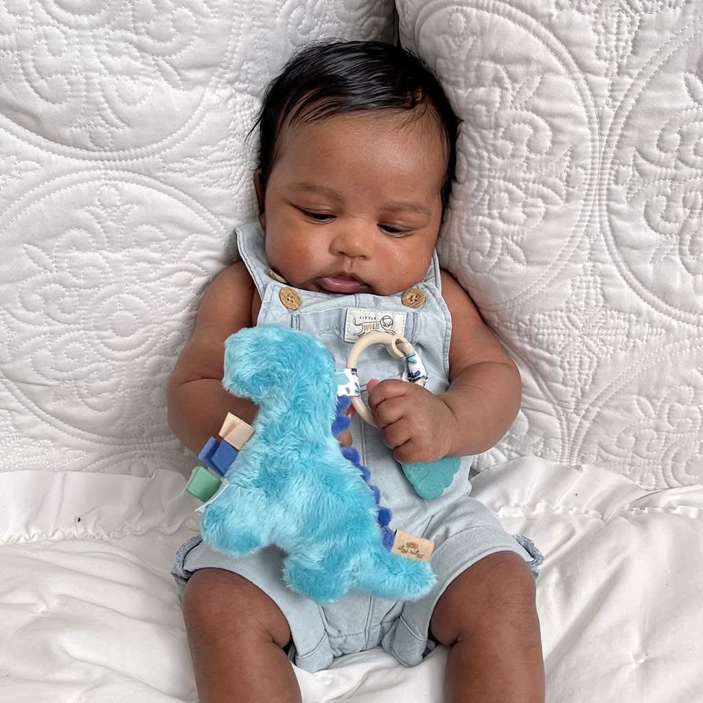 Itzy PalTM Infant Toy - Image 29