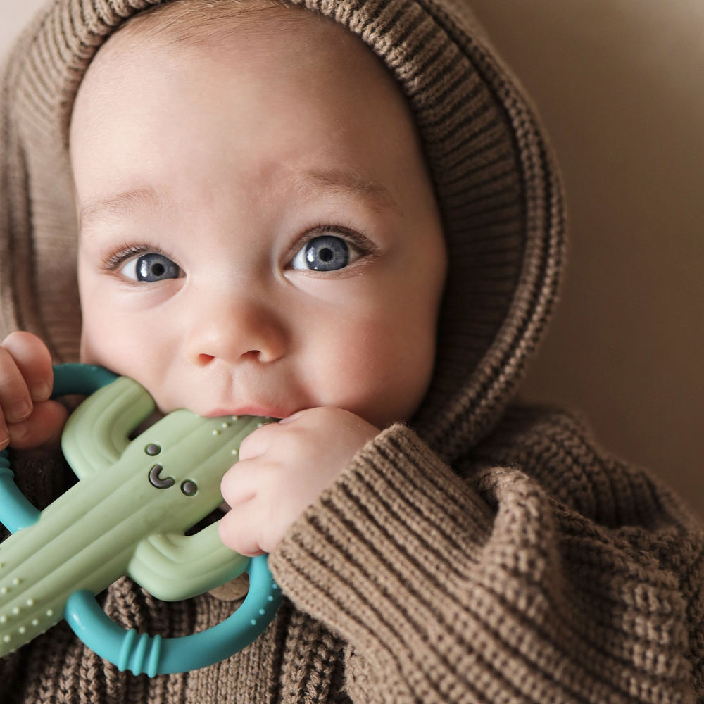Chew CrewTM Silicone Handle Teether - Image 7